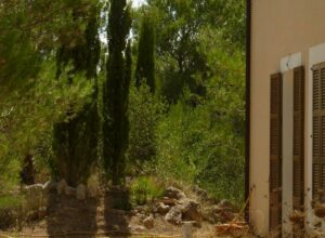 Finca con chalet en Arta