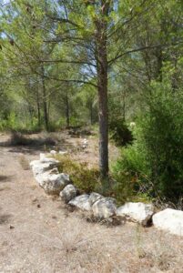 Finca con chalet en Arta
