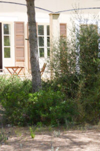 Finca con chalet en Arta